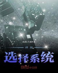 神级选择系统让我无所不能免费阅读