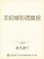王妃嫁到演员表