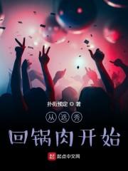 从选秀回锅肉开始百度