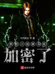 我的被S级加密了 不朽阿水