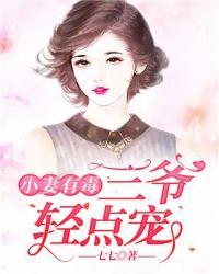 小妻有毒总裁意犹未尽