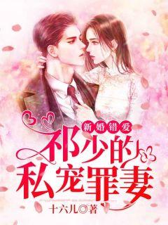 新婚错爱祁少的私宠罪妻全文免费阅
