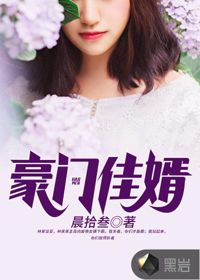 豪门佳婿笔趣阁