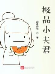极品小夫君 超级奶爸