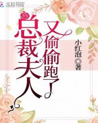 总裁夫人偷偷生下两个娃