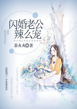 闪婚老公超级宠