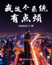 我这个系统有点特殊