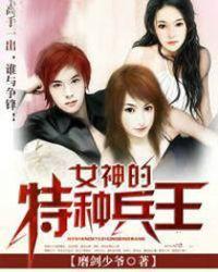 女神的特种兵王免费阅读