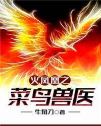 火凤凰之最强兽医txt