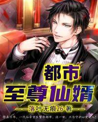 都市至尊仙婿陈浩