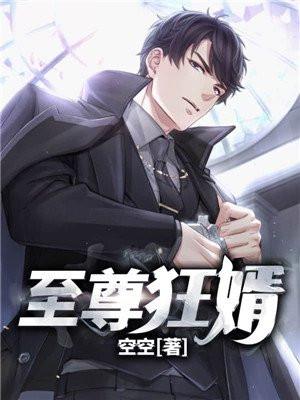 至尊狂婿苏洛作者苏洛林妙颜