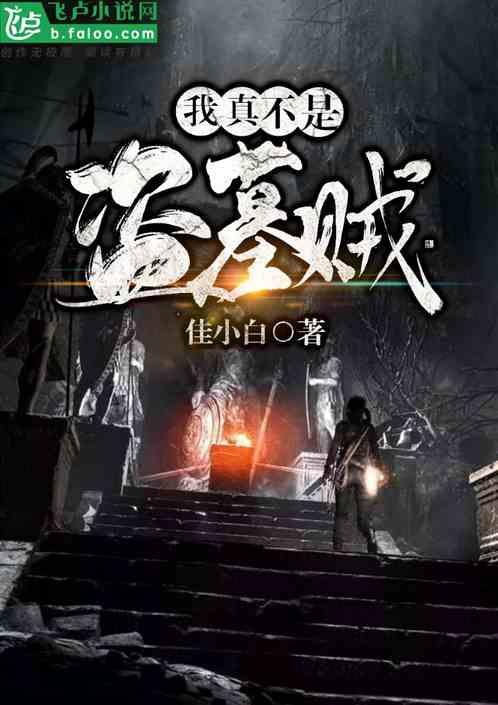 我不是盗墓贼叶城