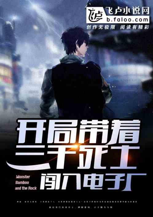 闯入电子厂林天