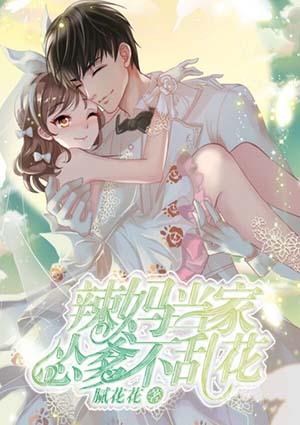 辣妈当家全文免费阅读