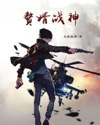 赘婿战神奶爸短篇