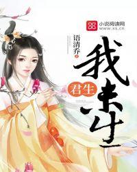 君生我未生下一句是什么
