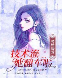 替婚暖爱技术流她翻车啦笔