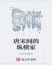 唐宋间的纵横家是什么