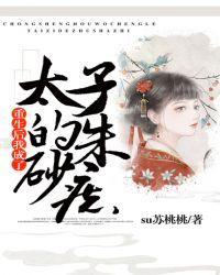 重生后我成了太子的宠妃
