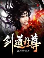 剑道丹尊林云一一无错