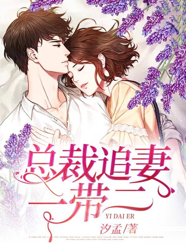 冰山总裁追妻路二集