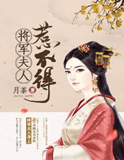 将军夫人惹不得同款