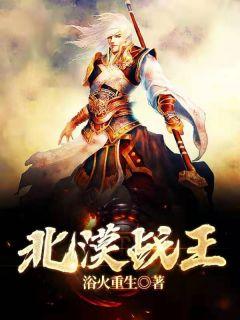 北漠战神楚庭全文阅读