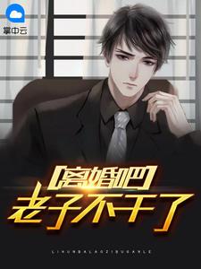 书名好像是离婚!我不干了
