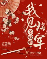 我想见将军
