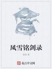 风雪剑怎么断的