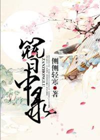 簪中录简介