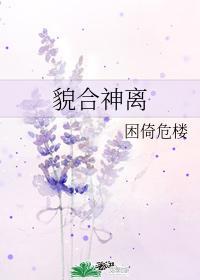 貌合神离TXT