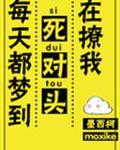 每天都梦到死对头在撩我车图