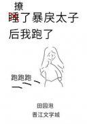 撩了暴戾太子后我跑了讲的什么