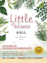 小妇人主要内容