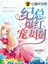 盛宠来袭纪总