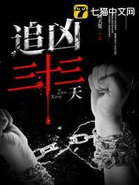 追凶三十年完整版