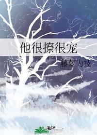 陆执遇见了宁蓁