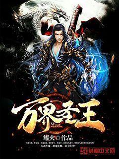 万界圣人