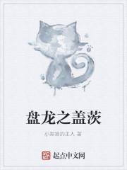 盘龙盖茨雷森等级