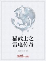 猫武士闪电条
