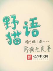 野猫语文特色