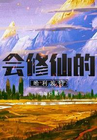 哈利波特 修仙风格