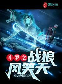斗罗之风笑天是主角的