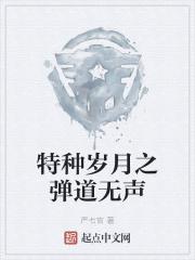 特种岁月之石道无声