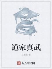 道家真武决