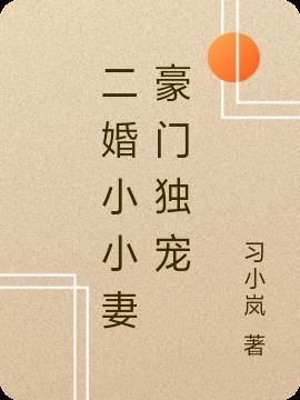 豪门男人的二婚宠妻