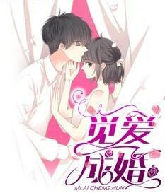 假爱成婚