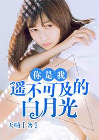 你是我遥不可及的