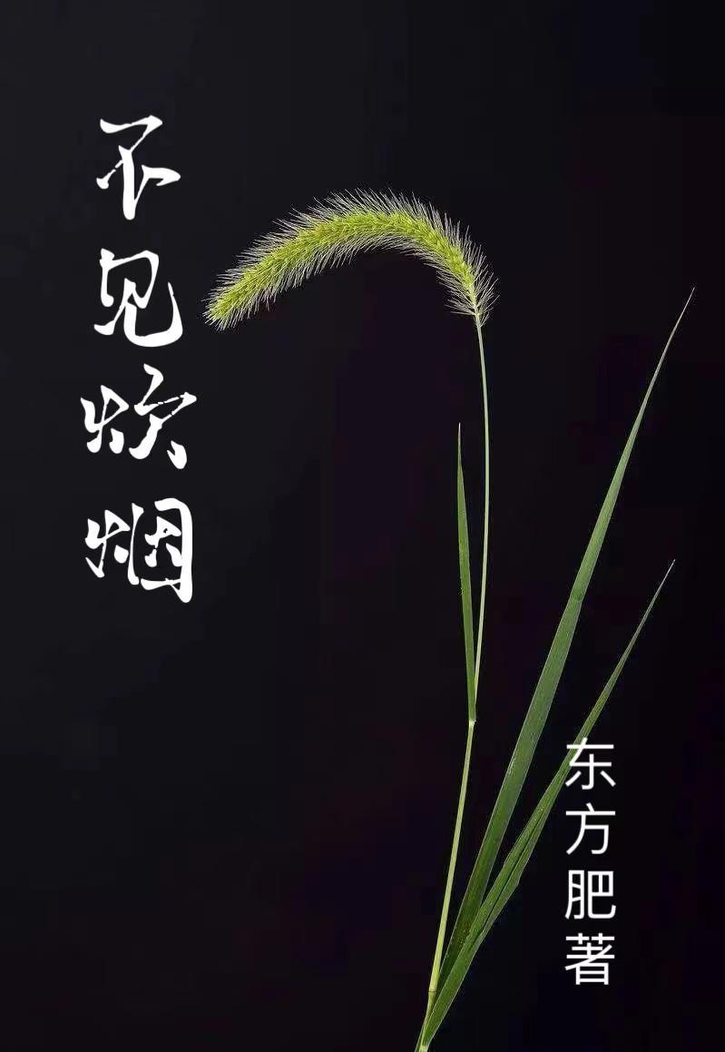 炊烟不再